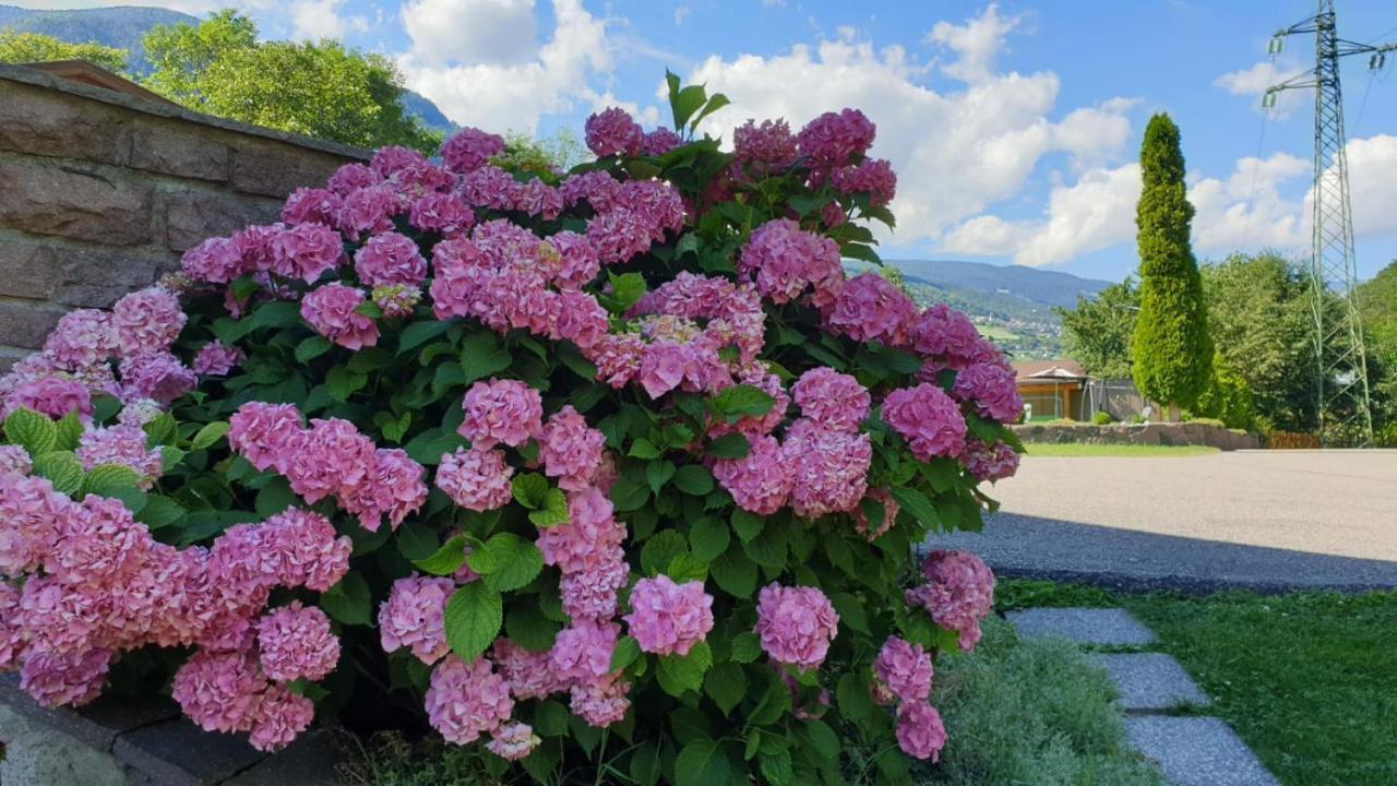 Ferienwohnungen Koflerhof Castelrotto Εξωτερικό φωτογραφία